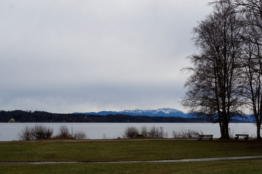 Blick auf den Starnberger See mit grauem Himmel und schneebedeckten Bergen im Hintergrund, umgeben von kahlen Bäumen und Wiese.