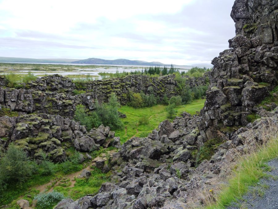 A view of a rocky gorge filled with lush greenery and moss in Þingvellir National Park, Iceland, with mountains and a body of water in the background under a cloudy sky.