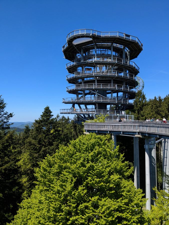 Aussichtsturm im Nationalpark Bayrischer Wald, umgeben von Bäumen und blauer Himmel.