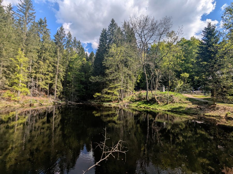 Ein ruhiger Waldsee, umgeben von grünen Bäumen und reflektierenden Wasserflächen unter einem wolkigen Himmel.