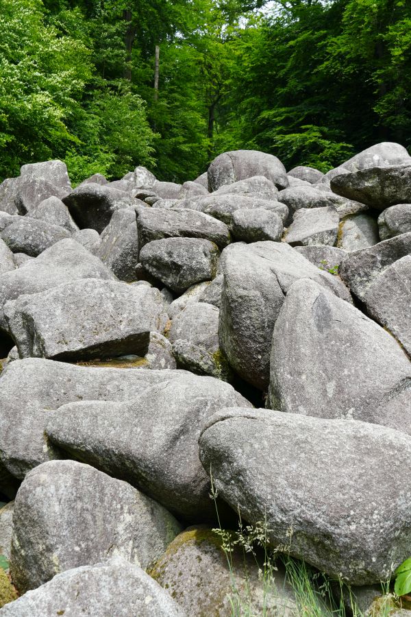 Eine Ansammlung großer, grauer Steine, umgeben von üppigem grünem Laub.