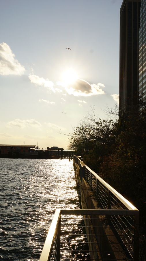Sonnenuntergang über dem Wasser mit glitzernden Reflexionen, umgeben von Bäumen und einem modernen Gebäude im Hintergrund.