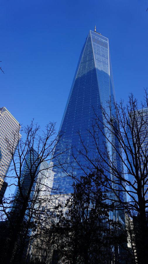 Blick auf das One World Trade Center in New York City, umgeben von Bäumen und anderen Wolkenkratzern, bei klarem blauen Himmel.