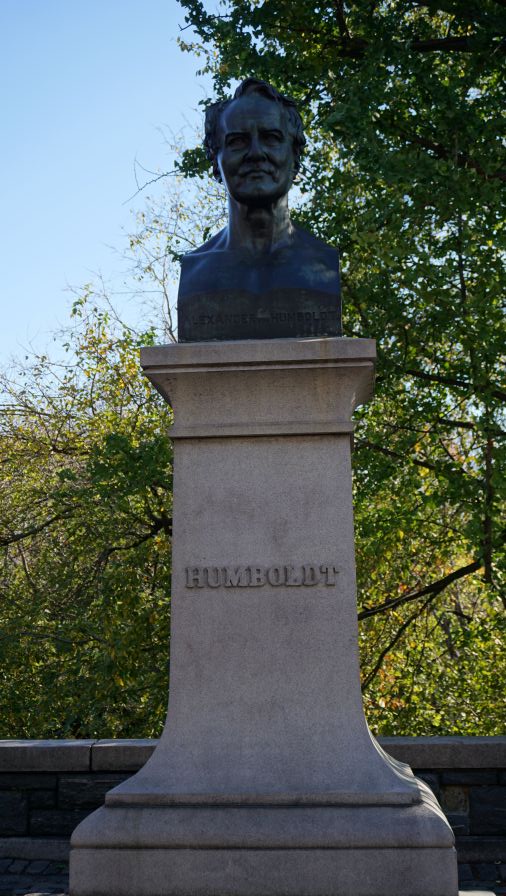Eine Büste von Alexander von Humboldt auf einem Steinpodest im Central Park, umgeben von Bäumen im Hintergrund.