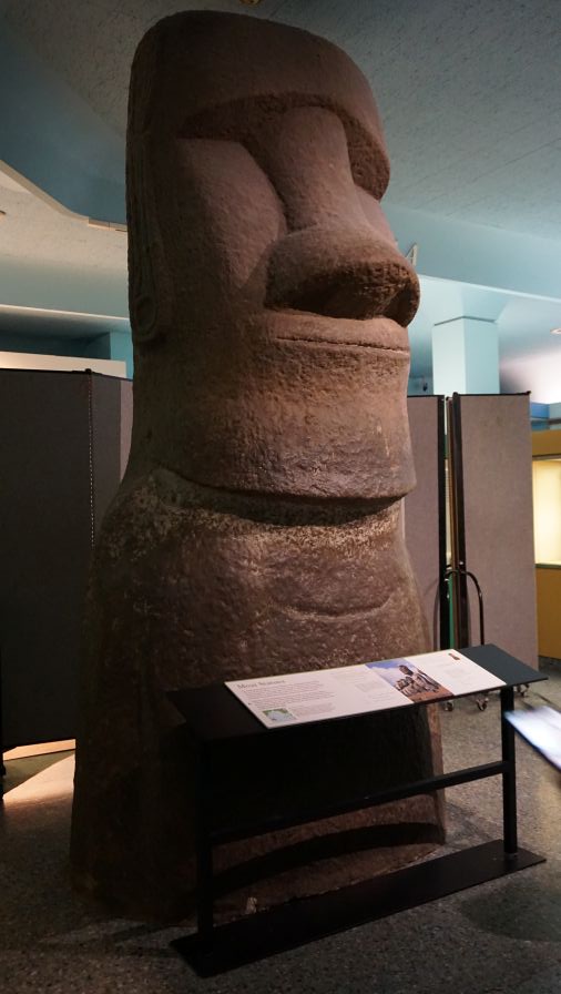 Eine Moai-Statue aus Stein, die in einem Museum präsentiert wird. Die Statue steht auf einem Sockel, vor einem Informationsschild.