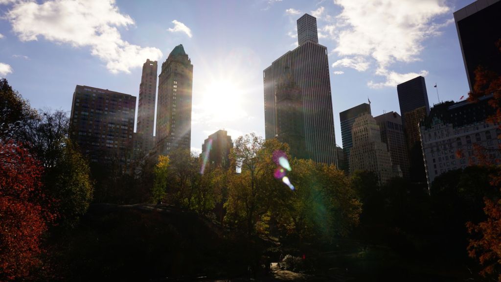 Natur und Football: Central Park und mehr in&nbsp;NYC