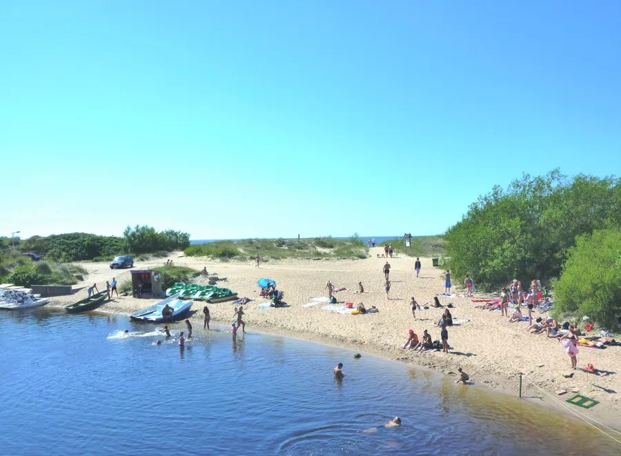 A sunny beach scene with people sunbathing and swimming in shallow water, surrounded by greenery and sand.