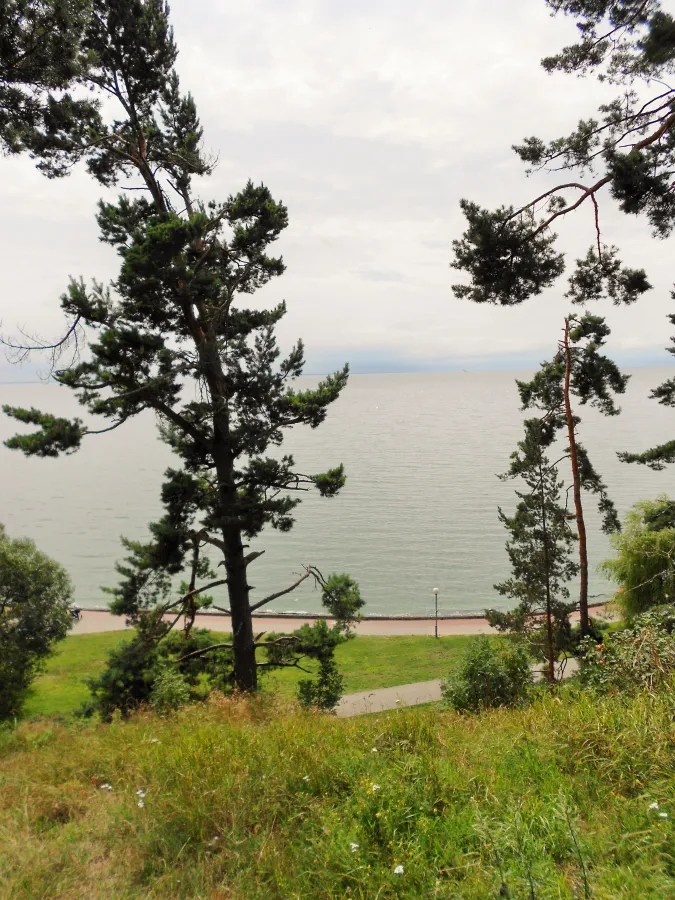 Blick auf das Meer durch Bäume mit grünem Gras im Vordergrund.