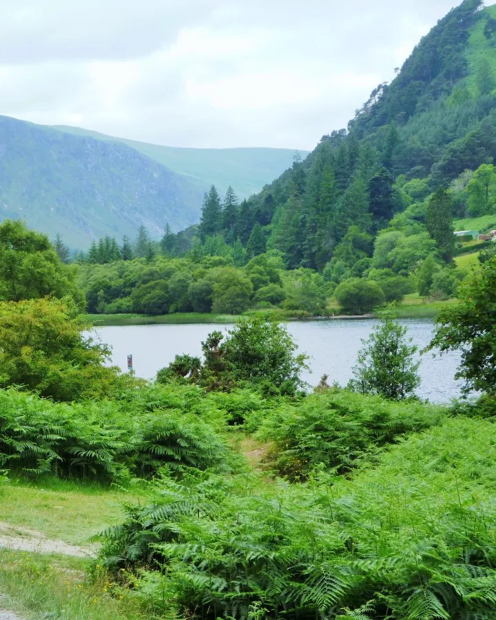 Panoramic view of Glendalough in the Wicklow Mountains, featuring lush green ferns, a tranquil lake, and surrounding hills under a cloudy sky.