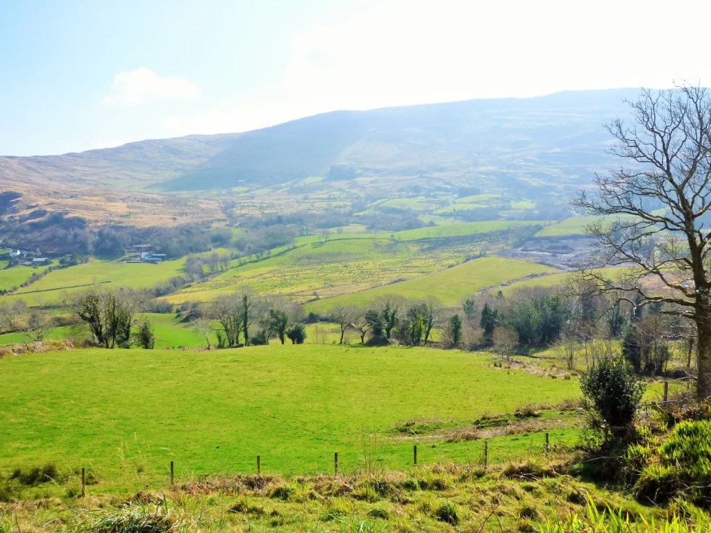Mein grünes Paradies: Irlands verborgene Naturschönheiten