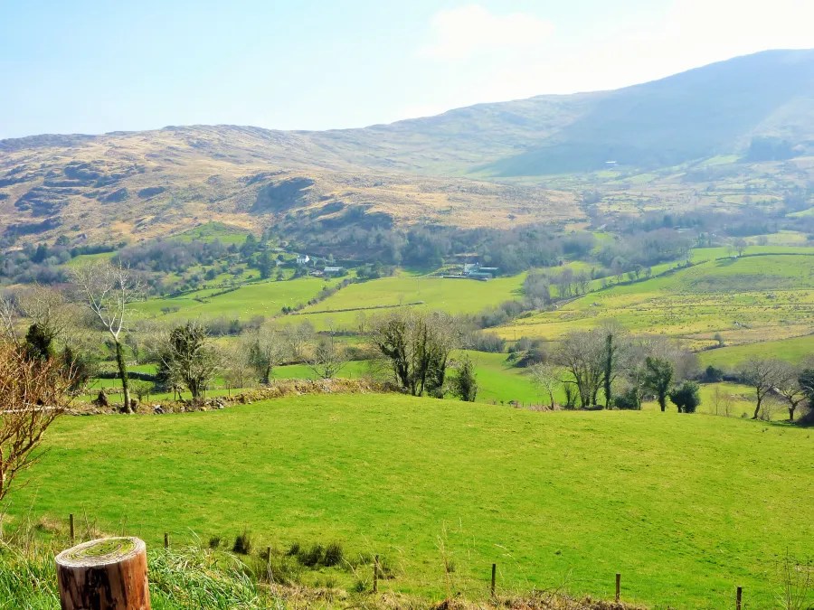 Blick auf eine grüne irische Landschaft mit sanften Hügeln und vereinzelten Bäumen unter einem klaren Himmel.