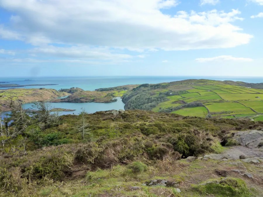 Eine atemberaubende Aussicht auf die grüne Landschaft Irlands, mit sanften Hügeln, Sträuchern und einem glitzernden Gewässer im Vordergrund, unter einem klaren blauen Himmel.