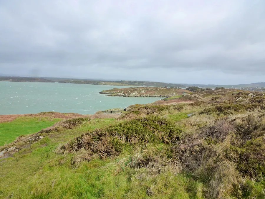 Blick auf die Küste Irlands mit grünen Hügeln und sanften Wellen unter einem grauen Himmel.