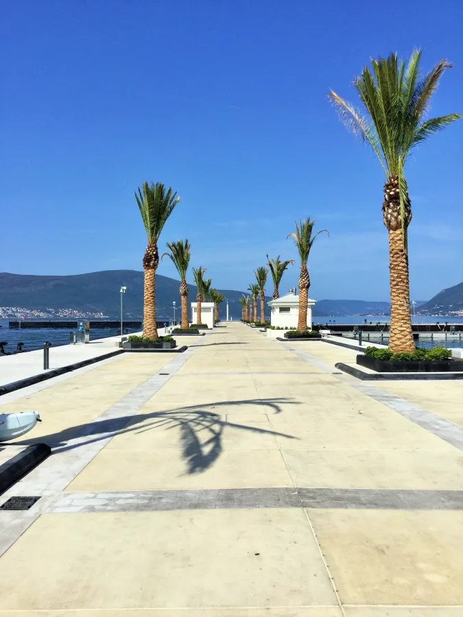Eine Straße mit Palmen, die zum Wasser führt, unter einem klaren blauen Himmel.