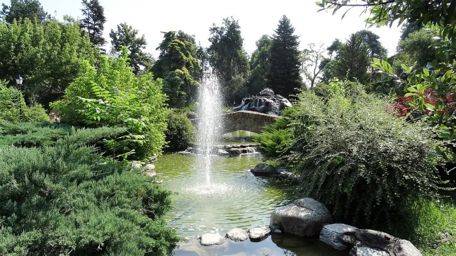 Ein ruhiger Park mit üppigem Grün, Plants und einem gleichmäßig sprühenden Wasserbrunnen, umgeben von Bäumen und Sträuchern.