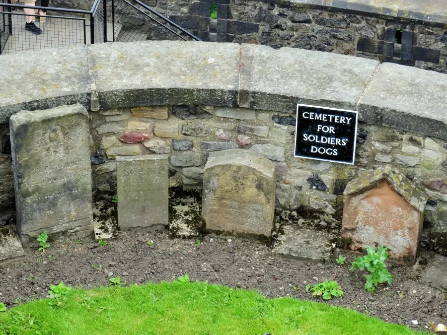 Friedhof für die Hunde von Soldaten mit mehreren Grabsteinen und einem Schild, das den Ort kennzeichnet.