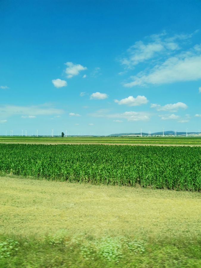 Blick auf grüne Felder und einen blauen Himmel mit vereinzelten Wolken während der Zugfahrt durch die österreichische Landschaft.