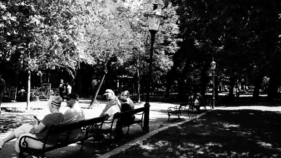Ältere Menschen sitzen auf einer Bank in einem Park, umgeben von Bäumen und Lampen, während andere Besucher im Hintergrund zu sehen sind.