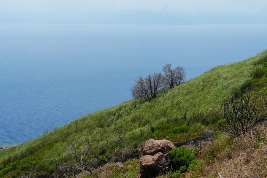 Blick auf eine grüne Hügelkette mit trockenem Bewuchs und Meer im Hintergrund.