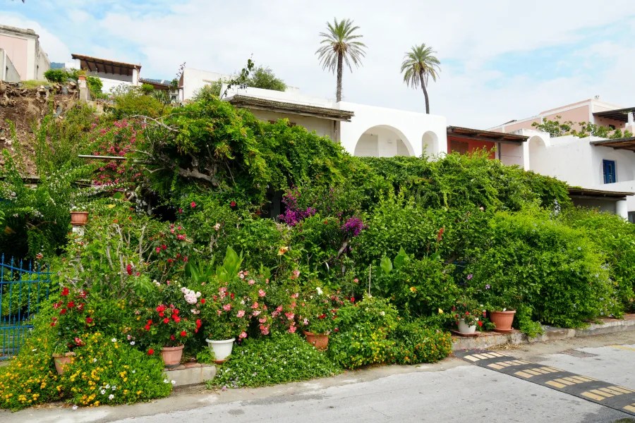 Blick auf ein üppig bewachsenes Haus mit bunten Blumen und Palmen im Hintergrund.