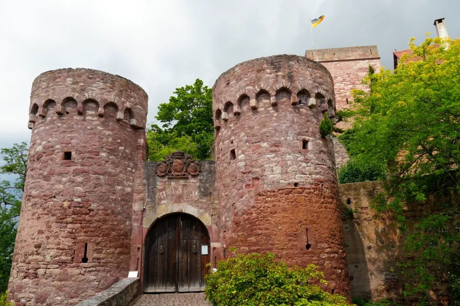 The entrance of a historic castle with two round towers, featuring a wooden door and surrounded by greenery.