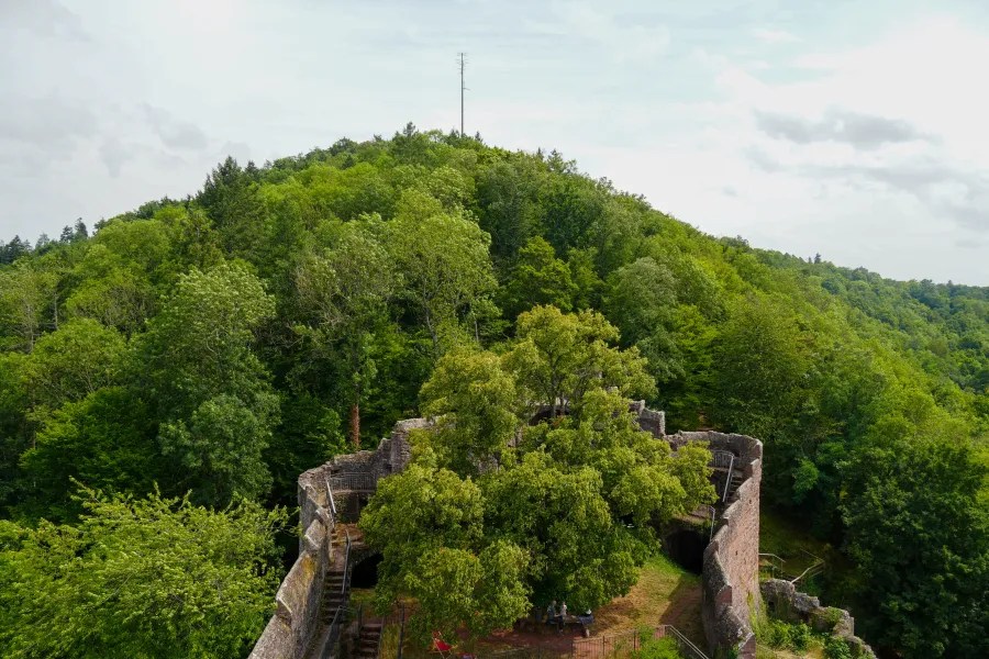 Panoramic view of a ruined stone structure surrounded by lush green trees on a hill.