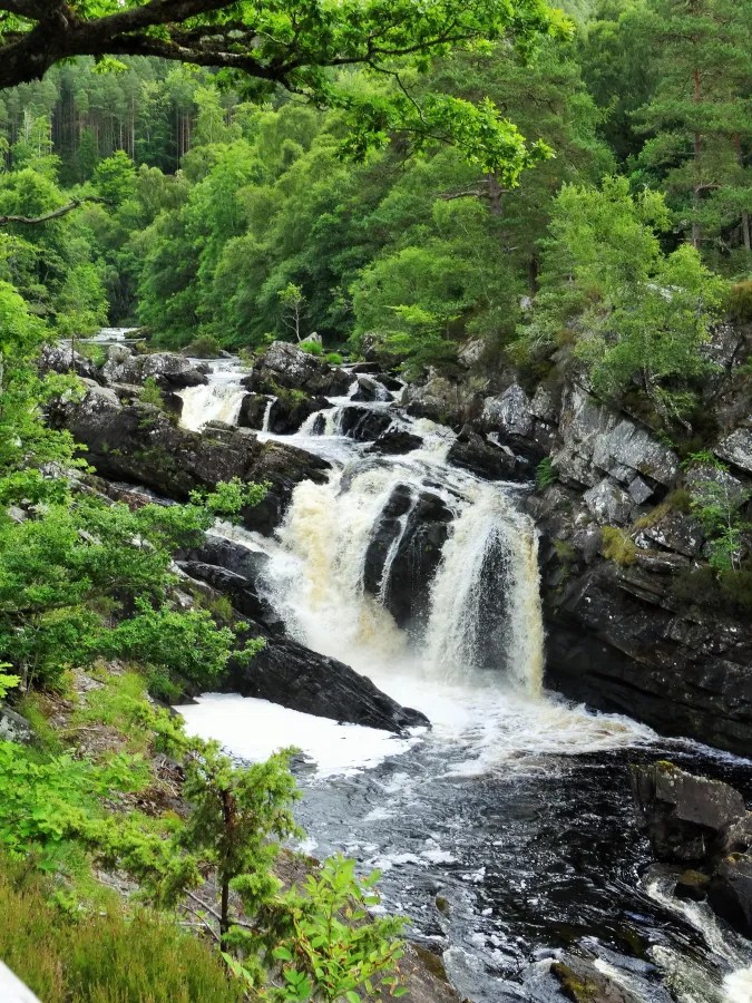 Einblick in die Black Water Falls mit plätscherndem Wasser in einer grünen, bewaldeten Umgebung der schottischen Highlands.