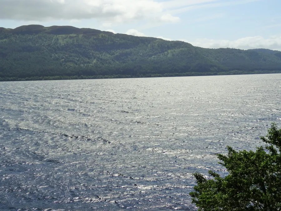 Eine Ansicht von Loch Lomond mit ruhigem Wasser, umgeben von grünen Hügeln und Bäumen unter einem klaren Himmel.