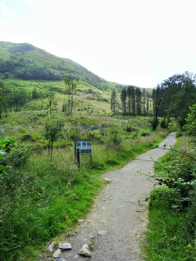 Ein Wanderweg führt durch eine grüne Landschaft mit sanften Hügeln und Bäumen im Hintergrund unter einem hellen Himmel.