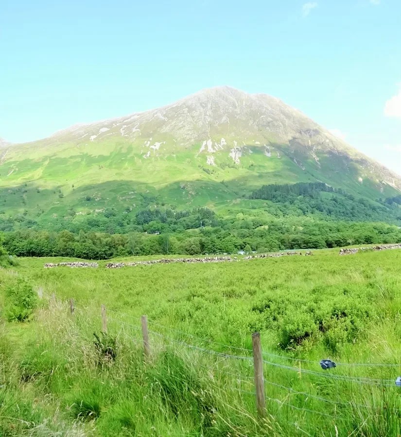 Eine weite Aussicht auf grüne Wiesen und sanfte Hügel unter einem blauen Himmel mit wenigen Wolken.