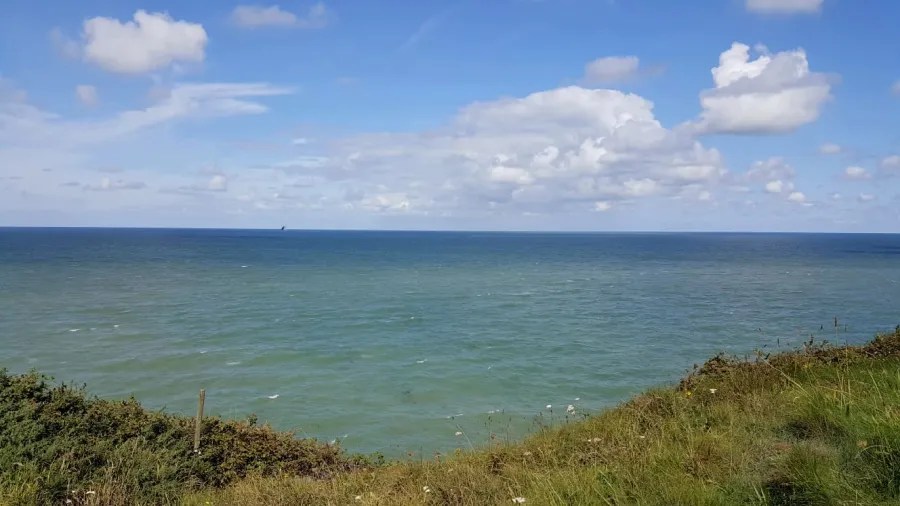 Blick auf das offene Meer unter einem bewölkten Himmel, mit sanften Wellen und grünen Gräsern im Vordergrund.