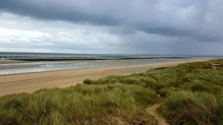 Blick auf einen weitläufigen Sandstrand mit Grasdünen im Vordergrund und einem bewölkten Himmel im Hintergrund.