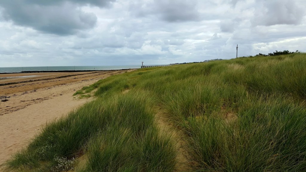 Entdeckungsreise durch die Normandie: D-Day Geschichte und&nbsp;Freiheit