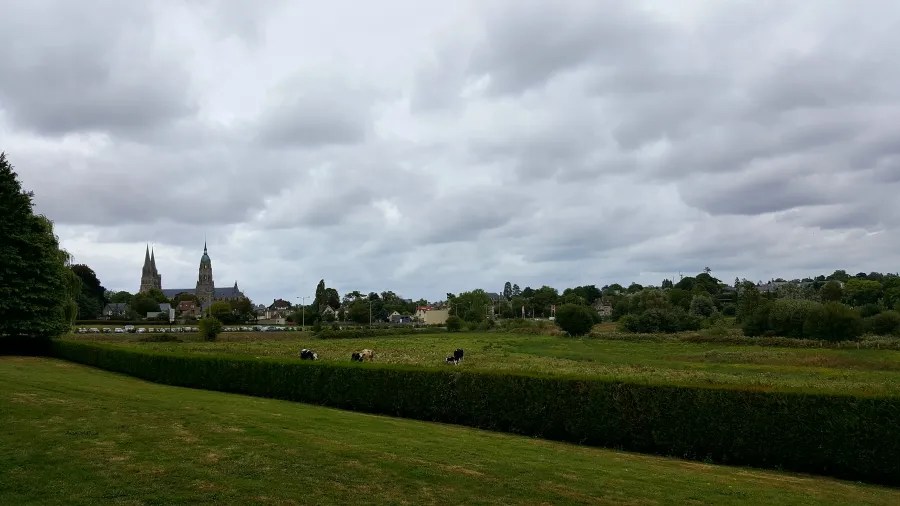 Landschaft mit Kühen auf einer Wiese im Vordergrund, im Hintergrund zwei Kirchtürme und ein bewölkter Himmel.