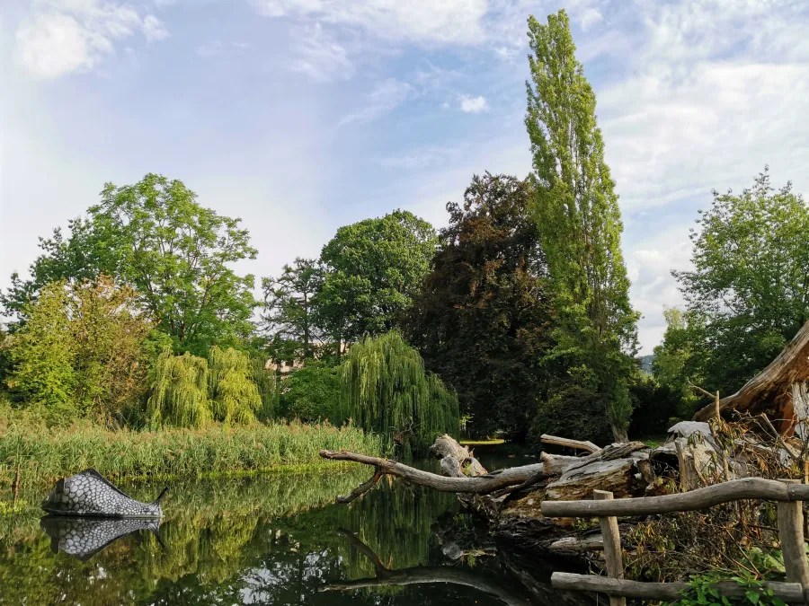 Ein ruhiger Park mit einem See, umgeben von üppigem Grün, Bäumen und reflektierendem Wasser. Im Vordergrund liegt ein verrottender Baumstamm.