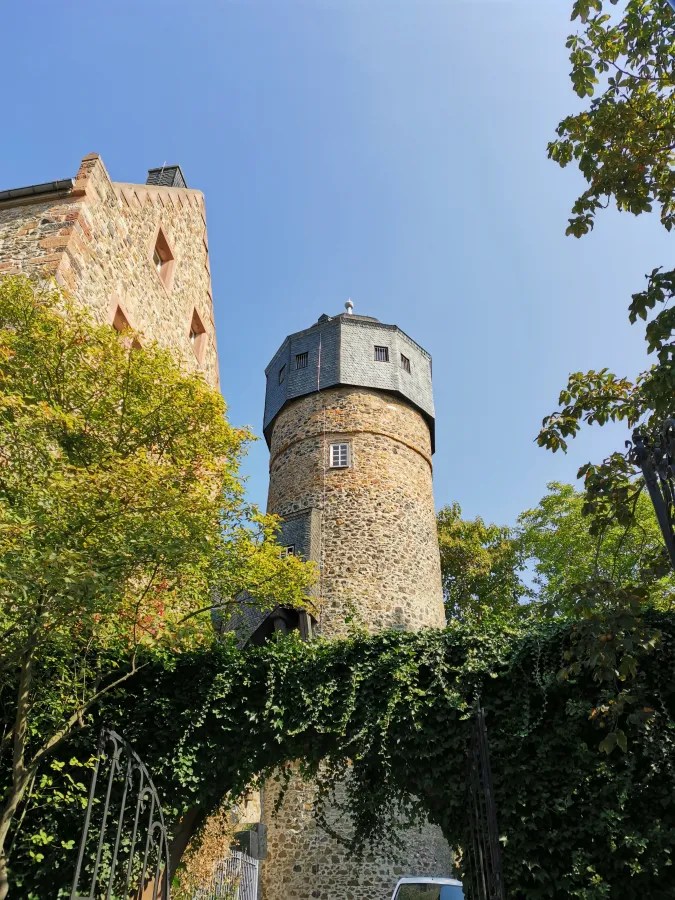 A stone tower with a conical roof surrounded by trees and vegetation, under a clear blue sky.