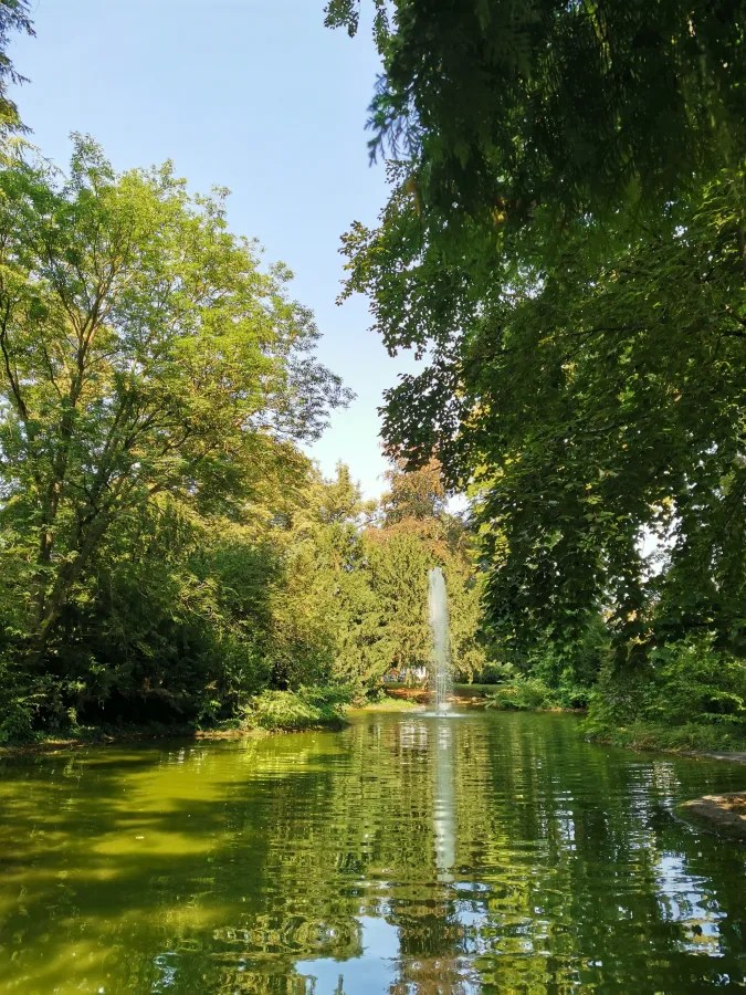 Ein ruhiger Teich umgeben von Bäumen mit einem Wasserfall, der in die Mitte des Teiches sprudelt. Der Himmel ist klar und blau.