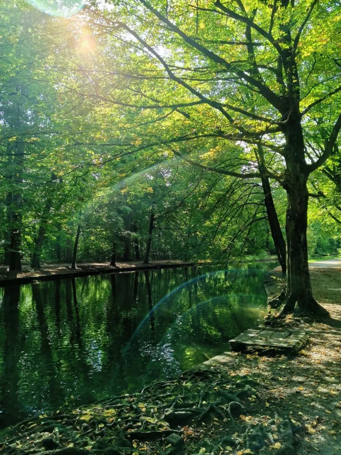 Ein sonnendurchfluteter Park mit hohen, grünen Bäumen und einem ruhigen Wasserlauf, der die Umgebung reflektiert.