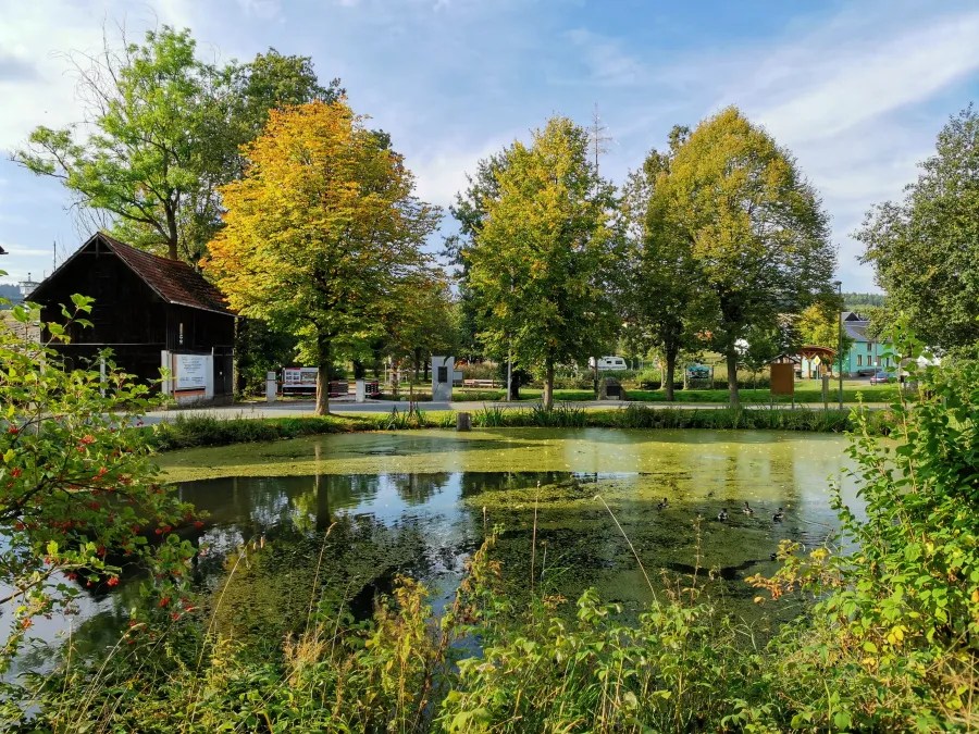 Eine ruhige Landschaft mit einem Teich, umgeben von Bäumen im Herbst, die gelbe und grüne Blätter tragen. Auf dem Wasser schwimmen Enten, während im Hintergrund Gebäude und eine Straße sichtbar sind.