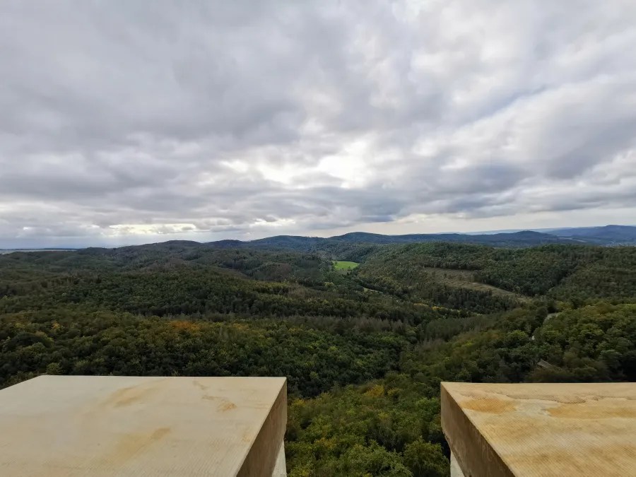 Blick auf eine weitläufige, bewaldete Landschaft mit sanften Hügeln und bewölktem Himmel.