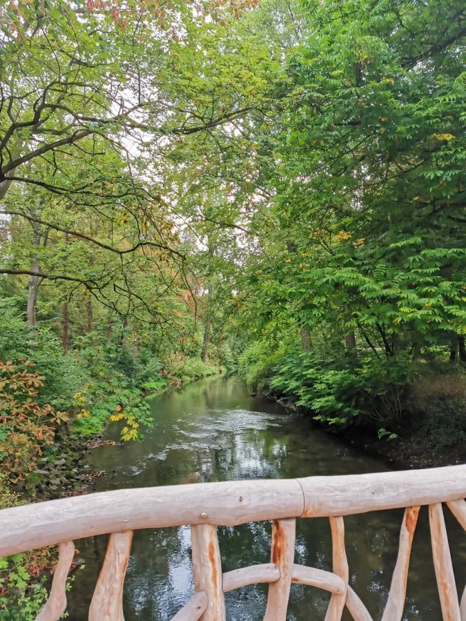 Ein Blick auf einen ruhigen Fluss, umgeben von üppigem, grünem Laub, mit einem Holzgeländer im Vordergrund.