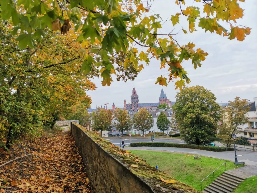 Blick auf Mainz im Herbst, umgeben von bunten Blättern und der historischen Architektur im Hintergrund.