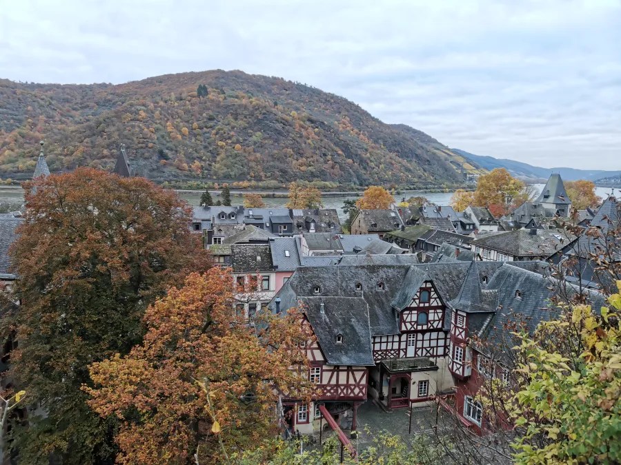 Panorama der Stadt Bacharach mit herbstlichen Bäumen und dem Mittelrhein im Hintergrund.