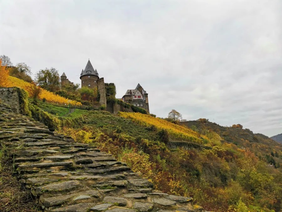 Eine steinerne Treppe führt zu einer Burg auf einem Hügel, umgeben von leuchtend gelben Weinreben und herbstlich gefärbter Landschaft unter einem bewölkten Himmel.