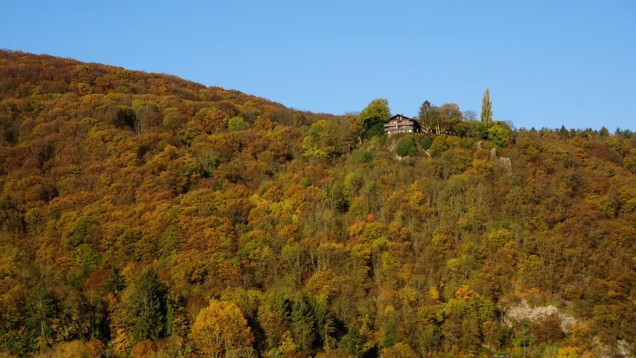 Ein malerischer Blick auf ein Haus, das auf einem sanften Hügel mit buntem herbstlichen Laub steht, unter einem klaren blauen Himmel.