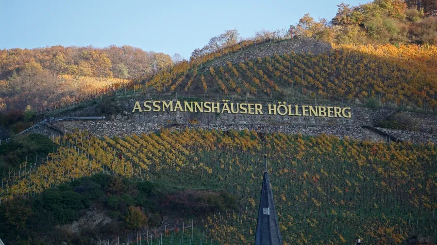 Weinberg mit dem Schriftzug 'ASSMANNSHÄUSER HÖLLENBERG', umgeben von buntem Herbstlaub.