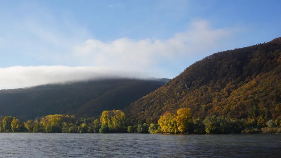 Blick auf die Uferlandschaft des Mittelrheintals mit bunten Herbstbäumen und bewölktem Himmel über den Hügeln.