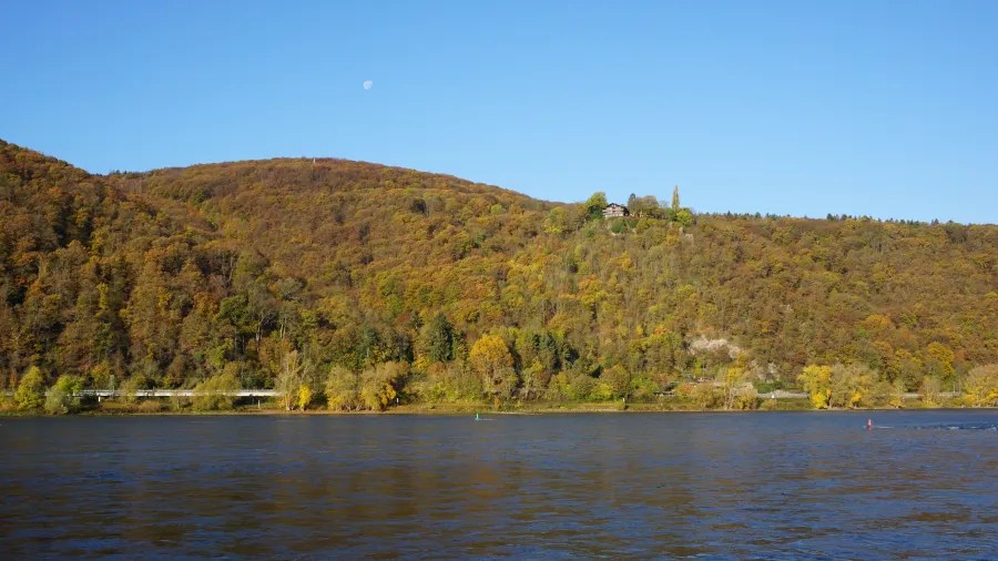 Blick auf bewaldete Hügel im Oberen Mittelrheintal mit klarem blauen Himmel und Wasser im Vordergrund.