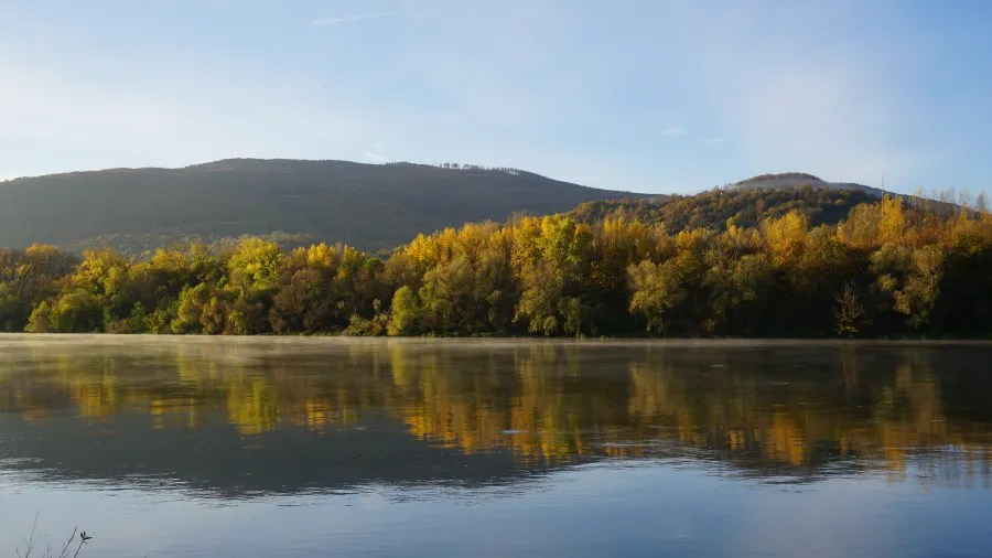 Ein Herbstblick auf einen ruhigen Fluss mit spiegelndem Wasser und buntem Laub an den Ufern vor sanften Hügeln.