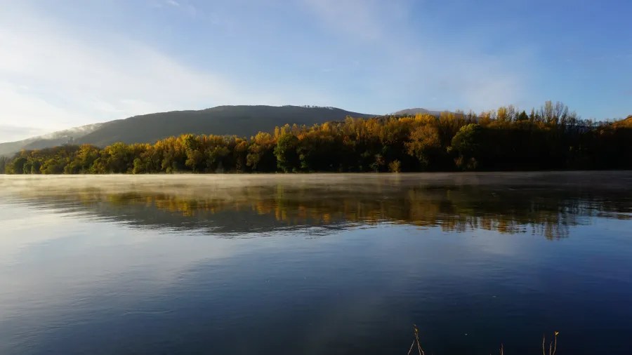 Herbstlandschaft am Fluss mit reflektierenden Bäumen und einem blauen Himmel im Hintergrund.